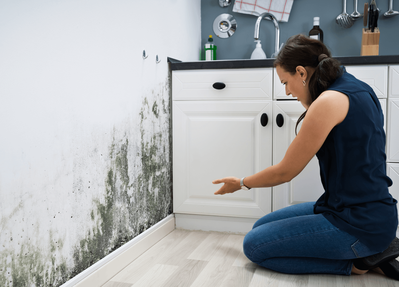 Tips to Find South Florida Mold Remediation Services Near You